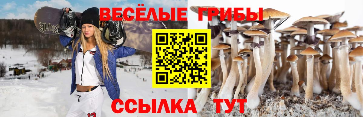 Псилоцибиновые грибы прущие грибы Усолье-Сибирское