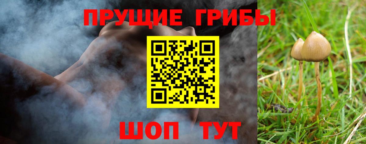 Галлюциногенные грибы прущие грибы  Вход с VPN  Усолье-Сибирское 